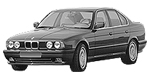 BMW E34 P1415 Fault Code